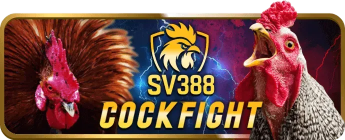 Đa dạng trò chơi ve88 win